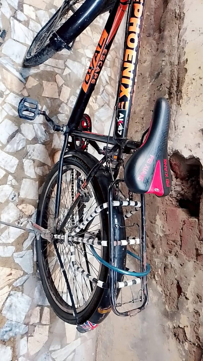 phoenix original cycle 2