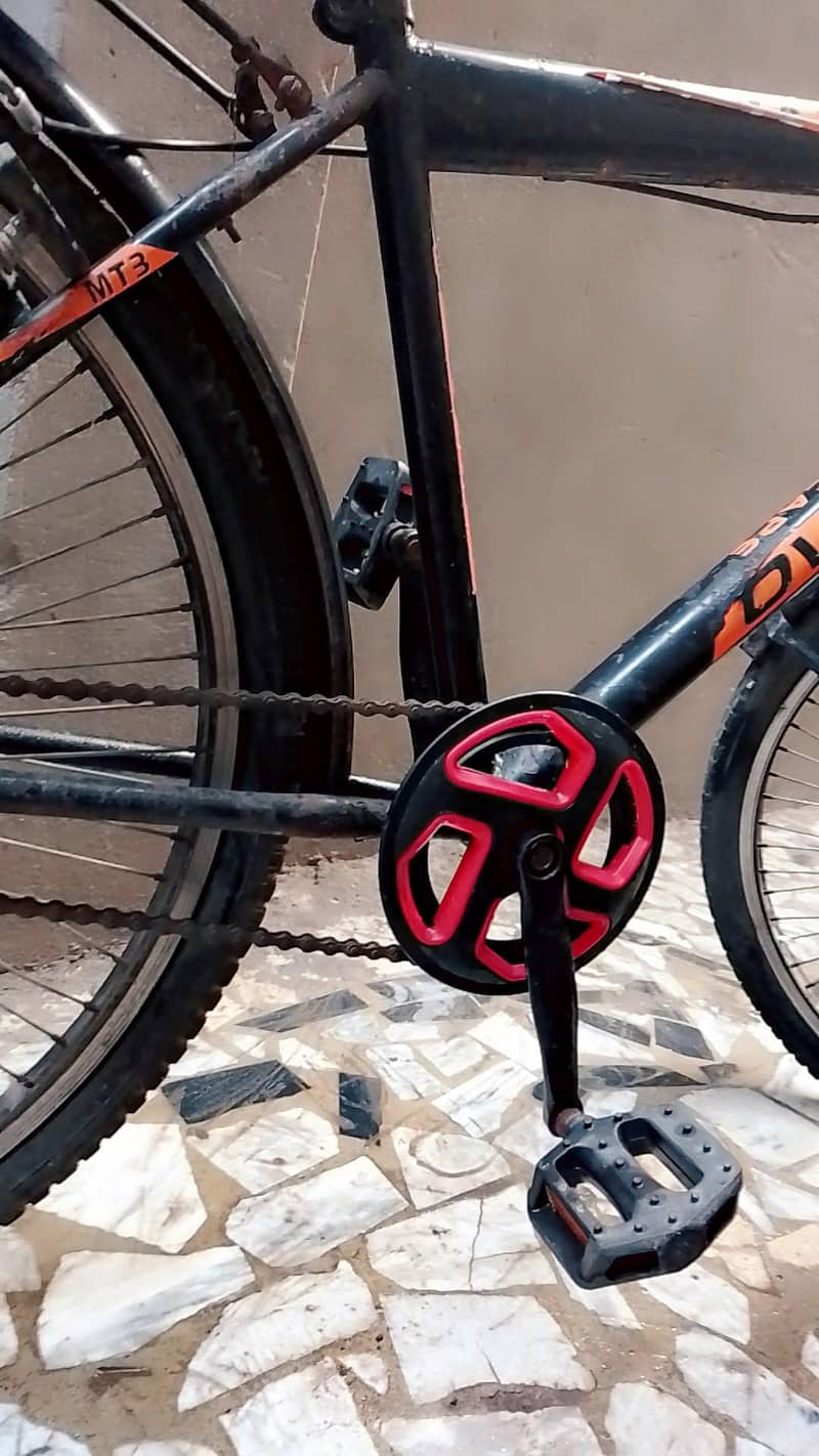 phoenix original cycle 4