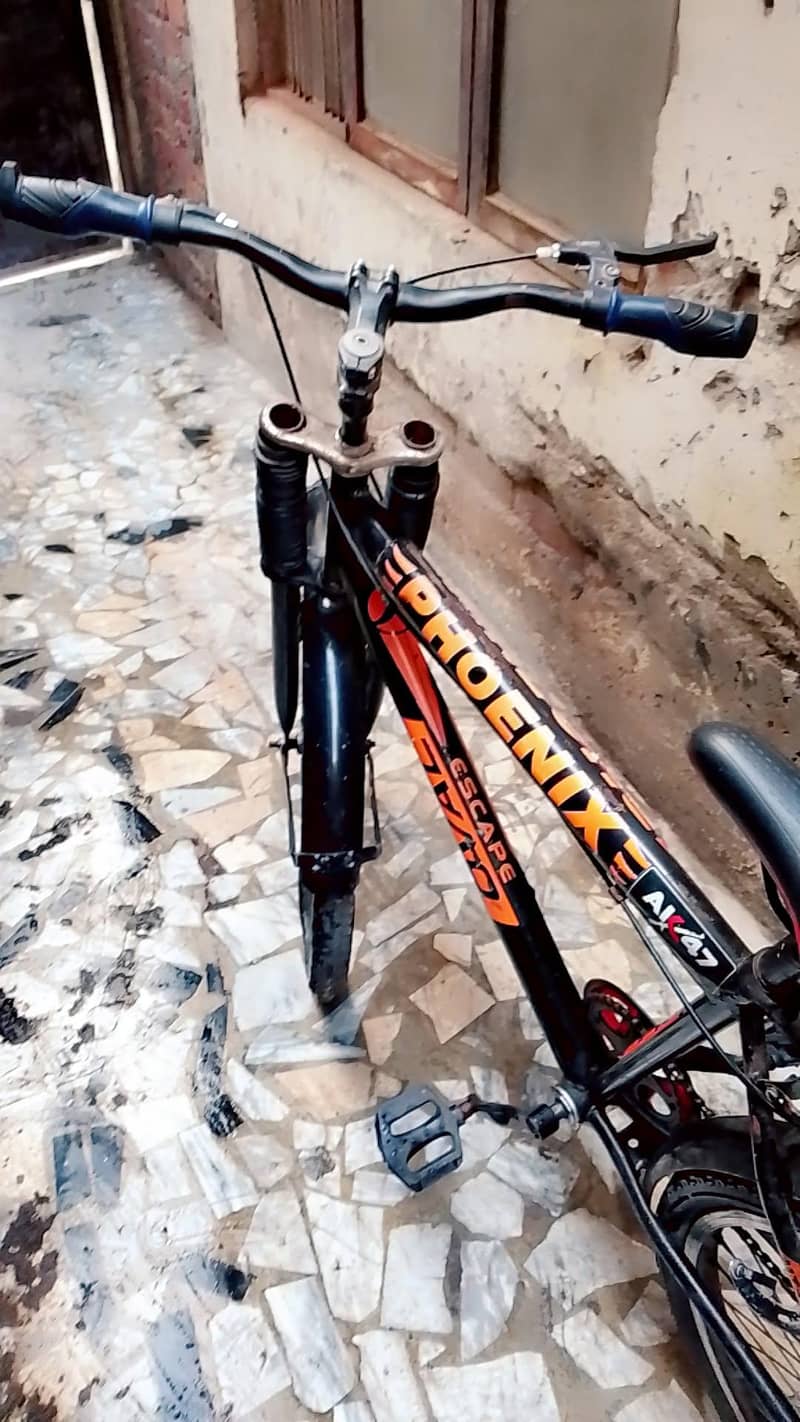 phoenix original cycle 5