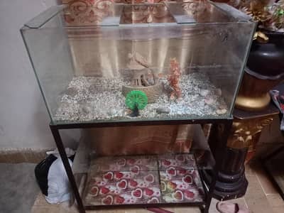 fish Aquarium with stand