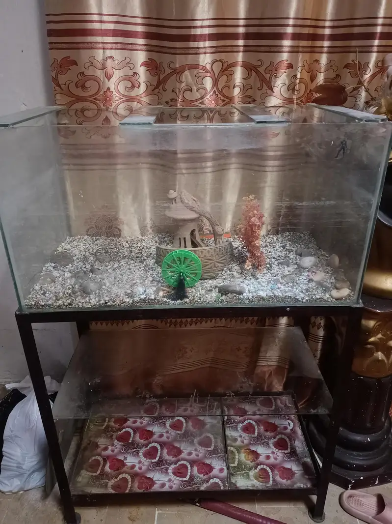 fish Aquarium with stand — photo 2