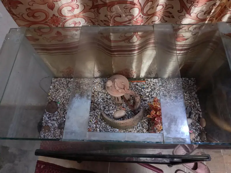fish Aquarium with stand — photo 3
