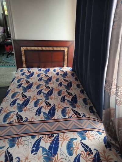 Single Beds 2