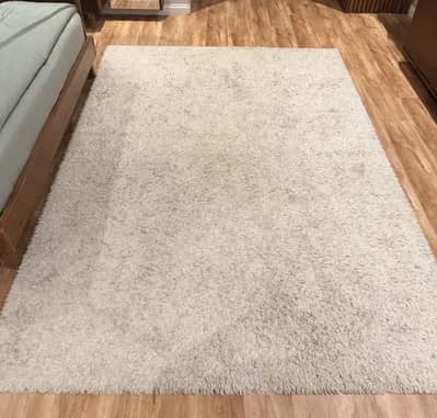 rug carpet