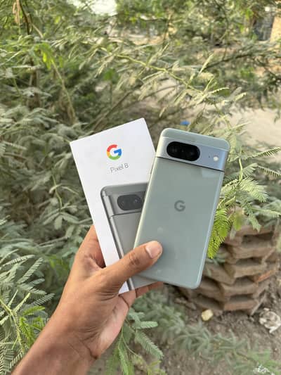 Google Pixel 8 Official Pta Approved