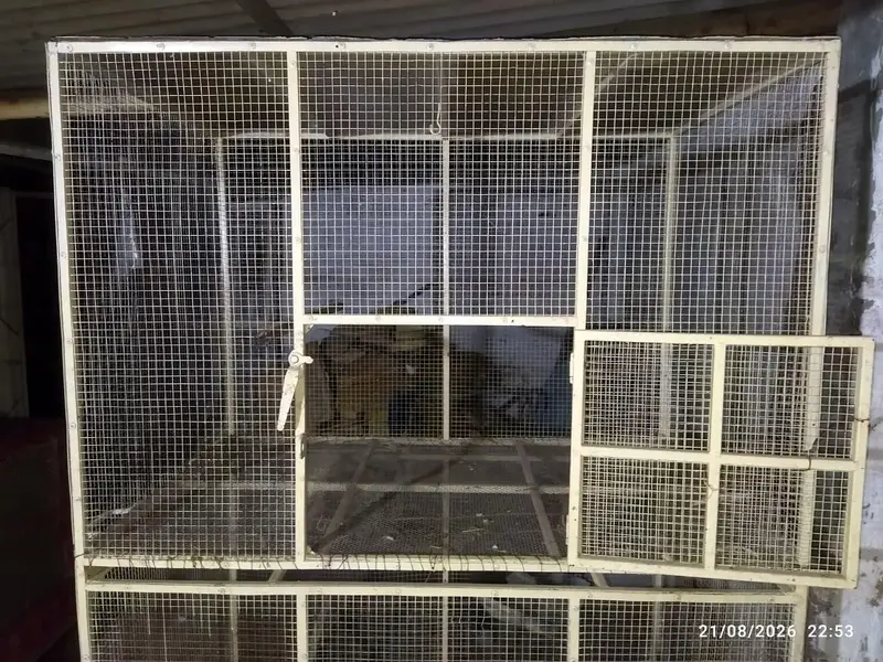 Cage for sale — photo 4