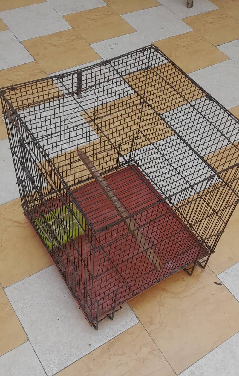 Bird Cage 1