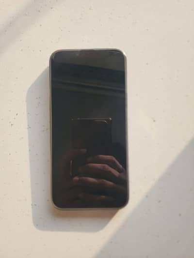 iPhone 13 Pro Max JV