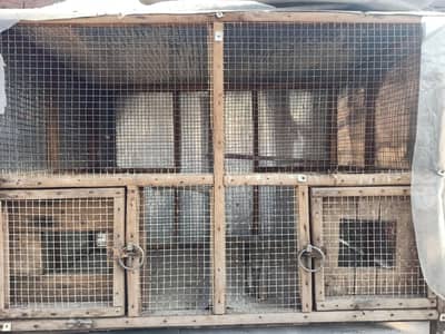 lovebird cage kikkar ki lakri ka pinjra