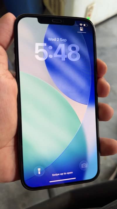 Apple iPhone 12 Pro Max