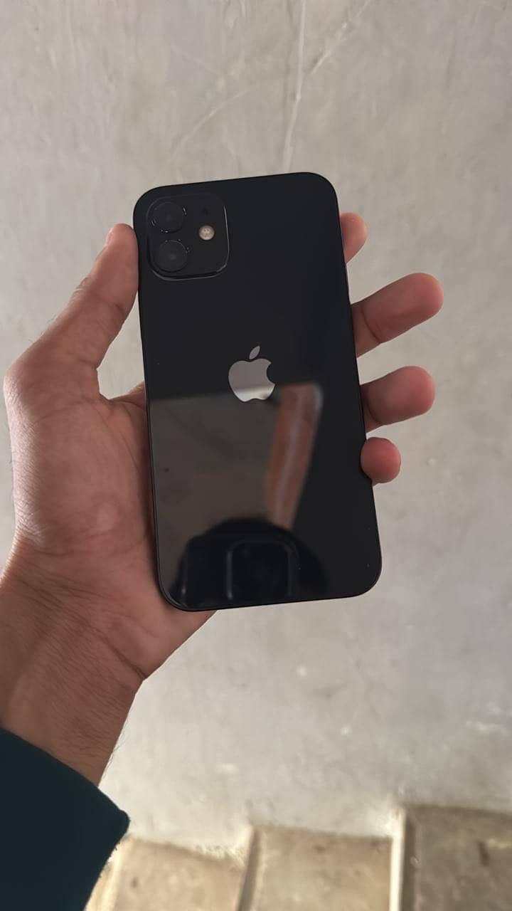 Apple iPhone 12 1