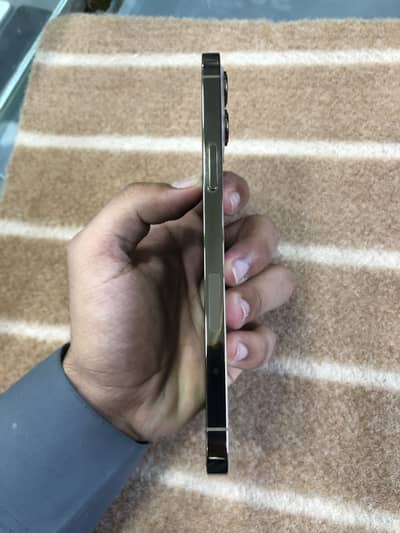 Apple iPhone 12 Pro Max