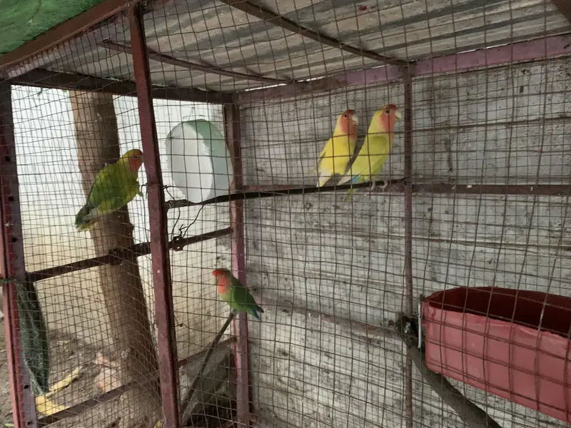 Urgent Sale — photo 2