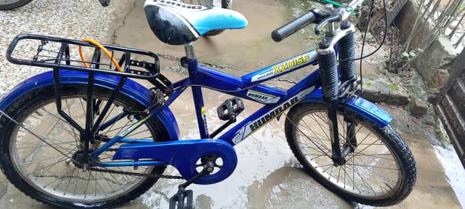 18 " inch bicycle