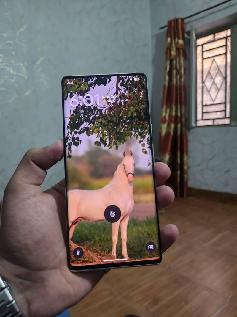 Google Pixel 6 Pro 2