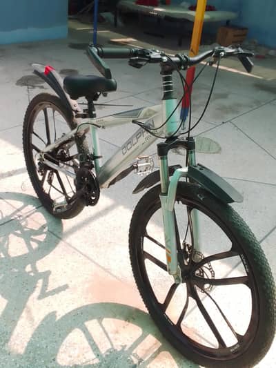 Dolphin River Mountain bicycle