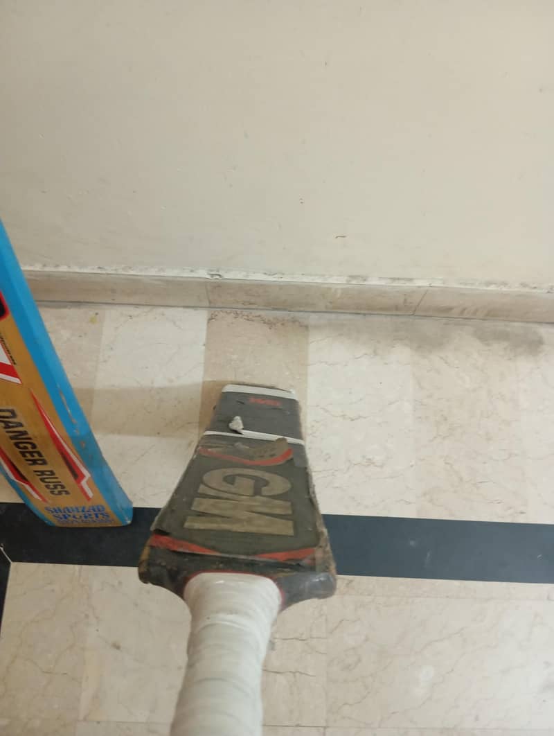 CRICKET BAT 1