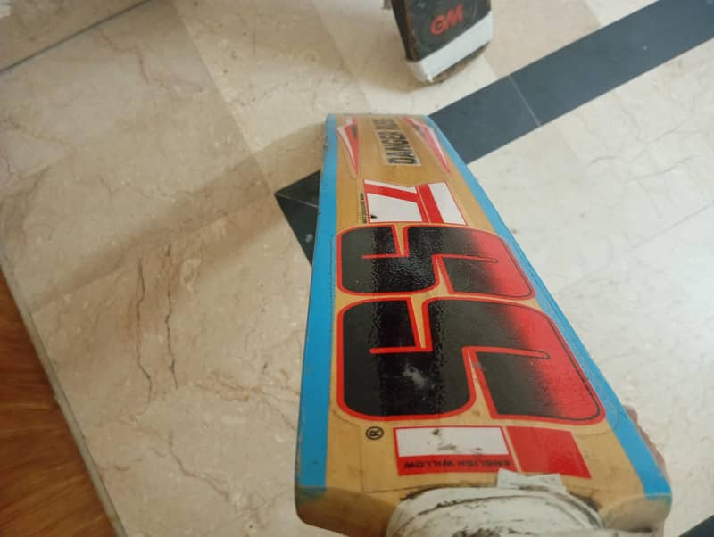 CRICKET BAT 4
