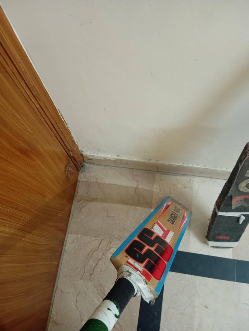 CRICKET BAT 7