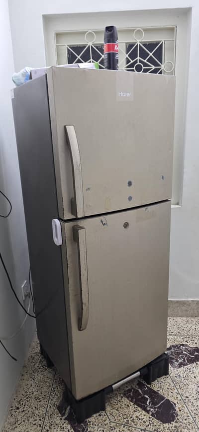 Hair Fridge