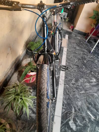 safari mountain bike