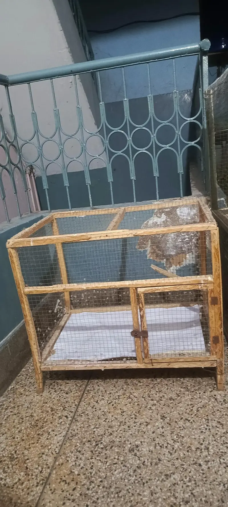 cages — photo 2