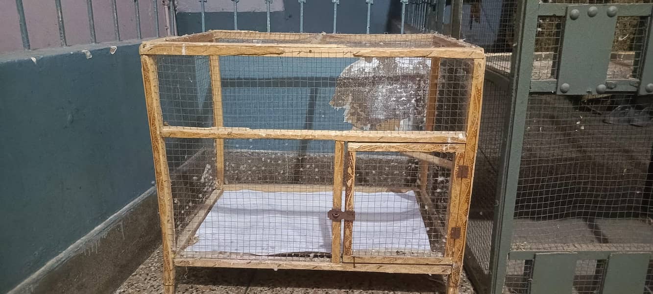 cages 3