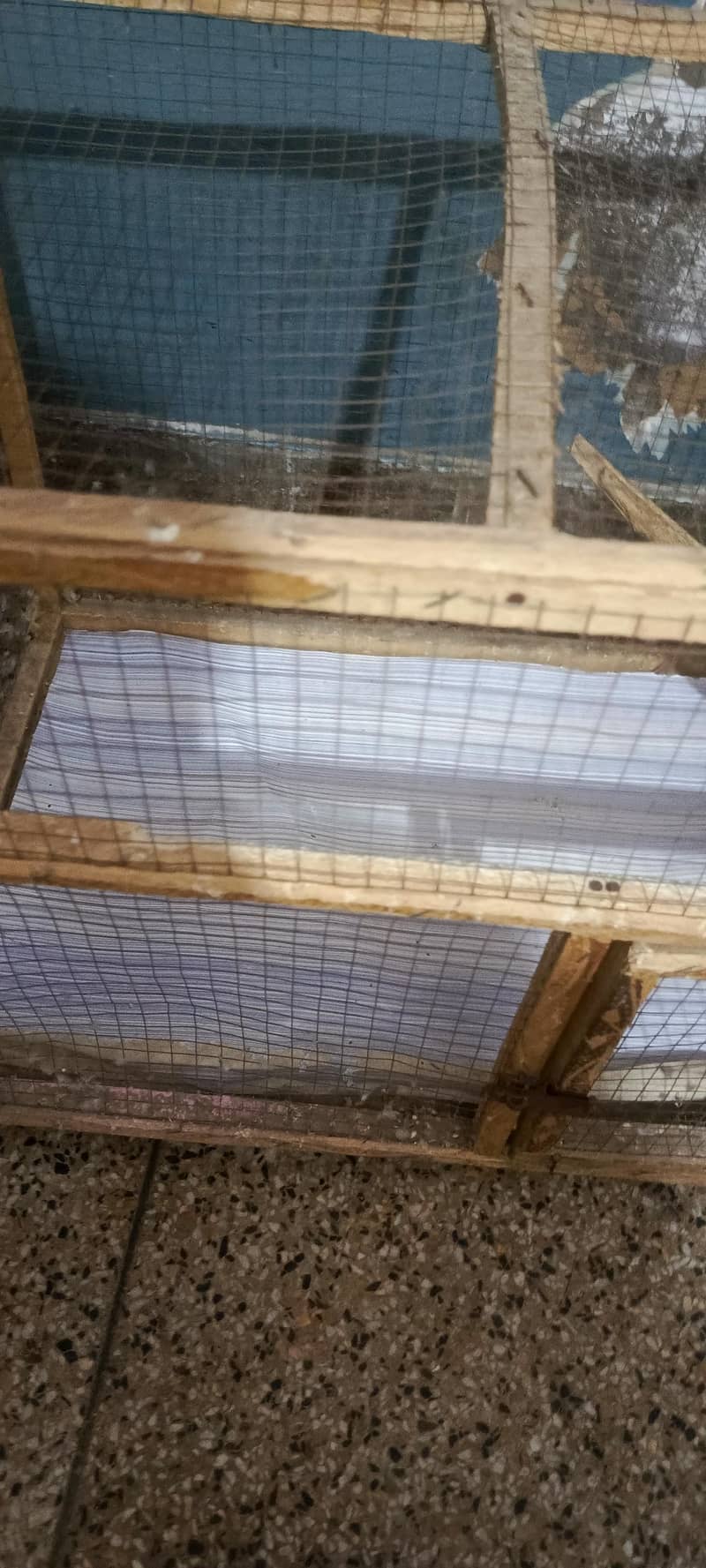 cages 4