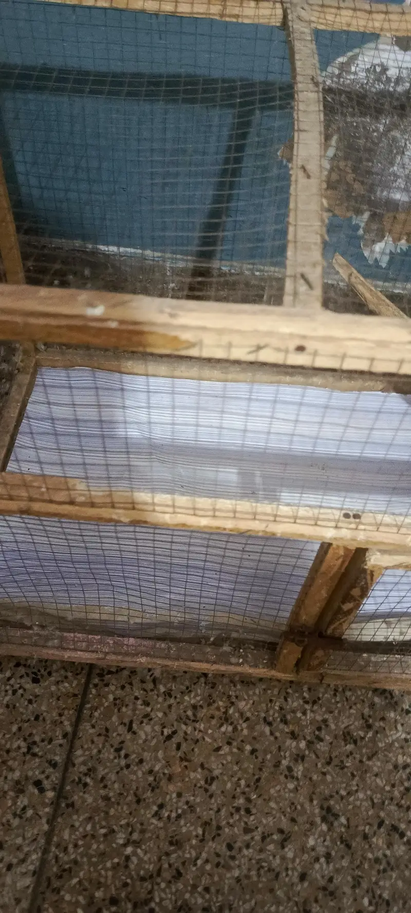 cages — photo 5