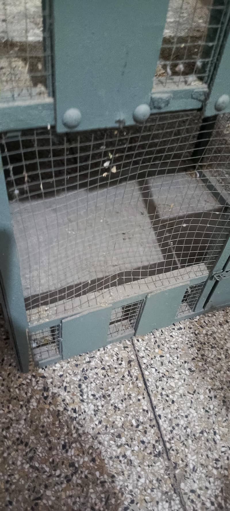 cages 5