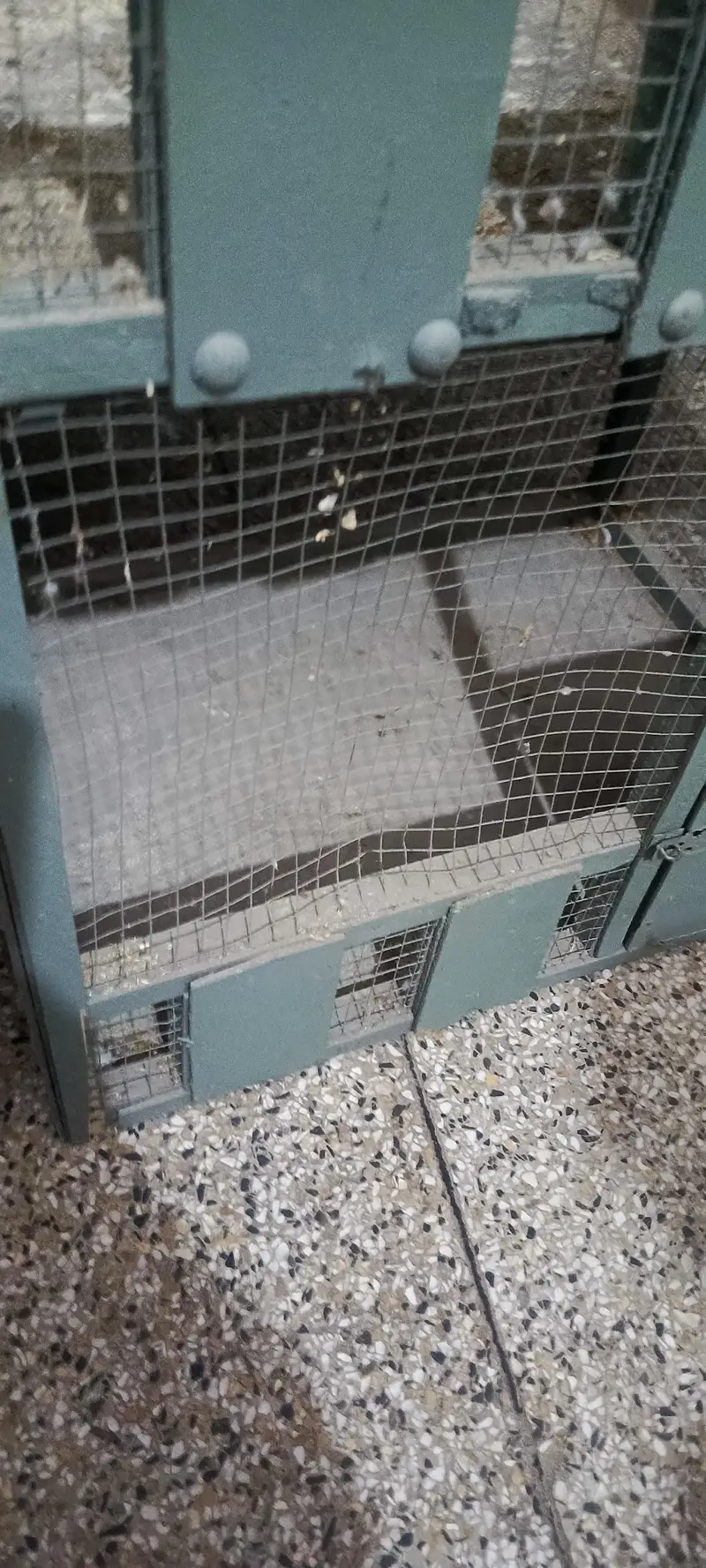 cages — photo 6