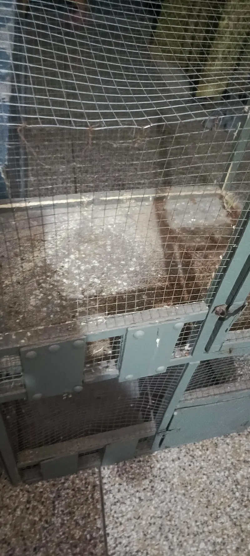 cages — photo 7