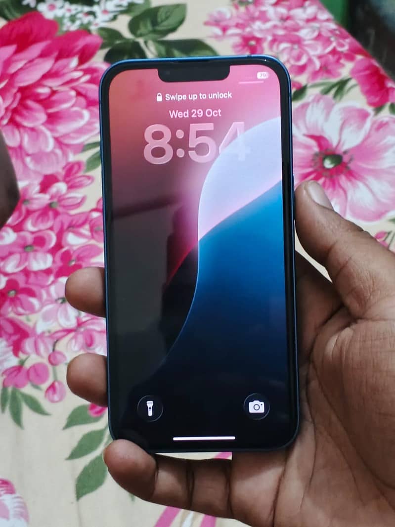 Apple iPhone 13 0