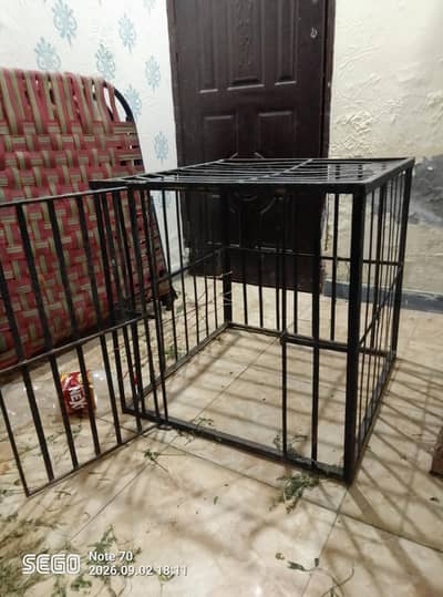 aseel cage