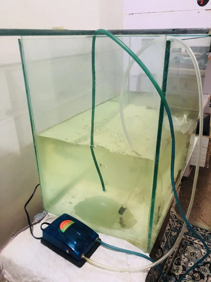 Brand new aquarium and koi fish for sale — photo 3