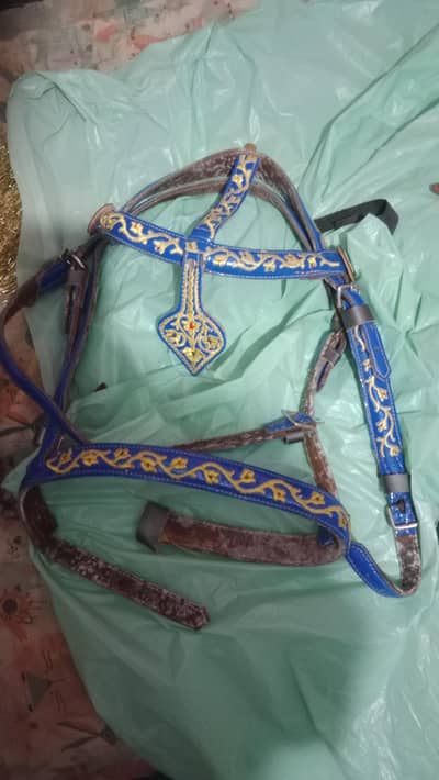 Horse Riding kit