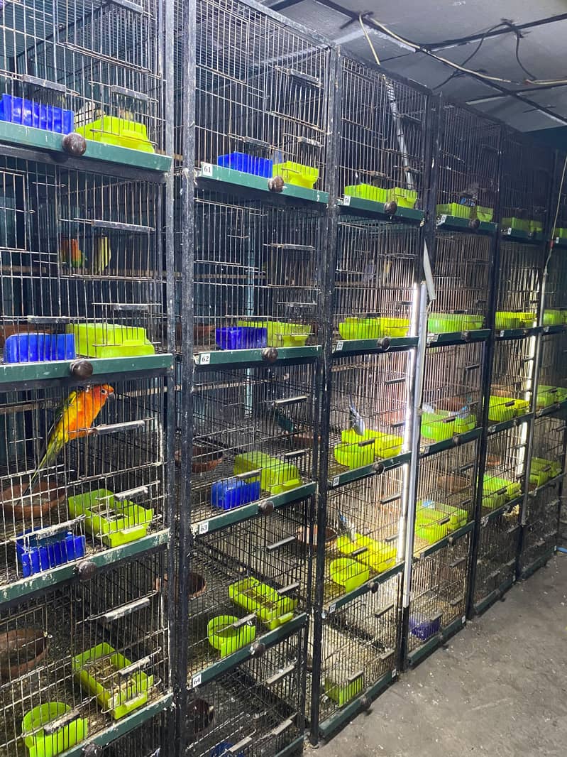 cages 0