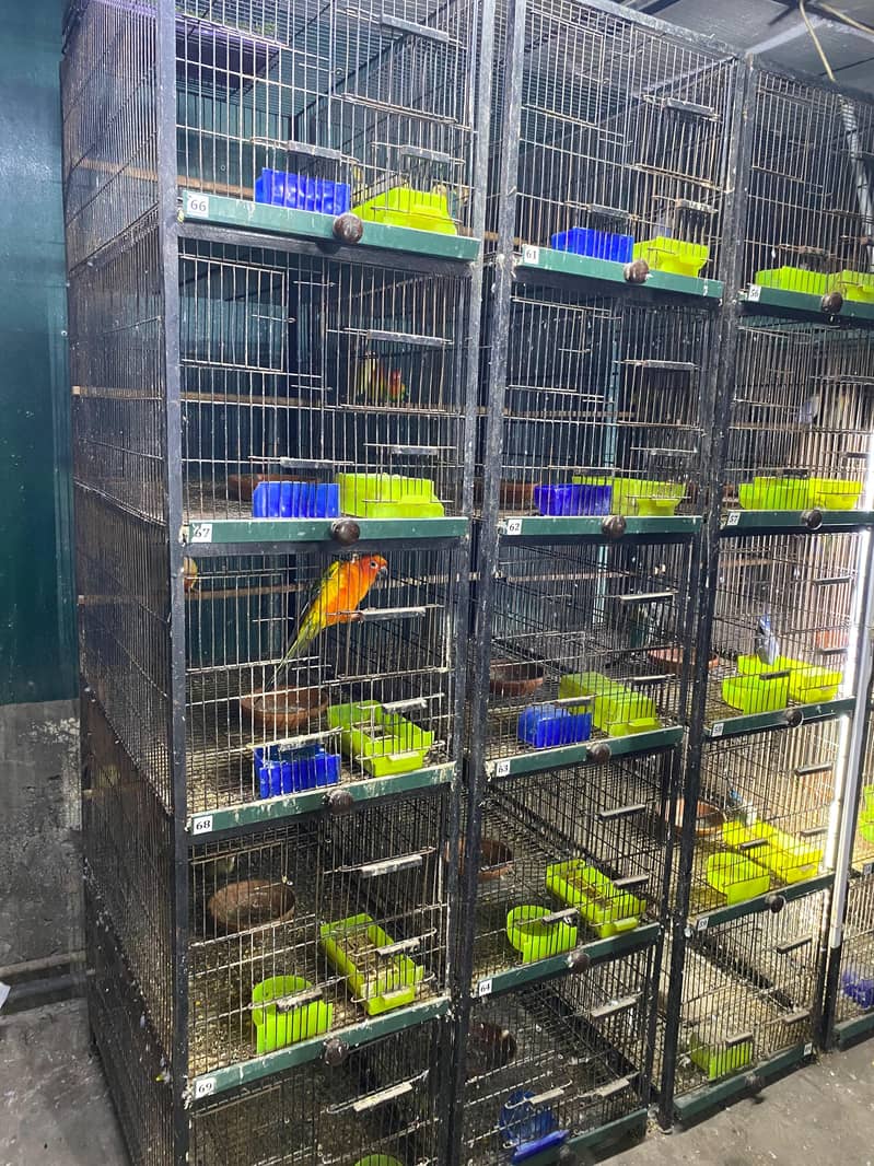 cages 1