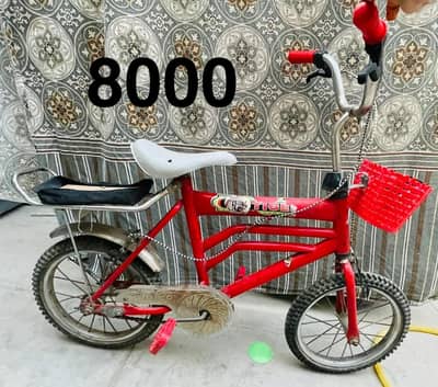 bicycle kids