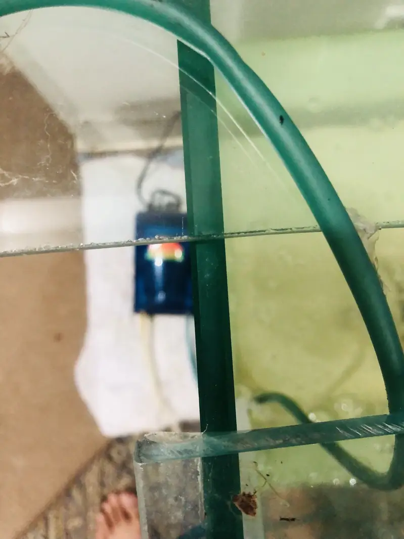 New Aquarium For Sale With Koi Fish — photo 5