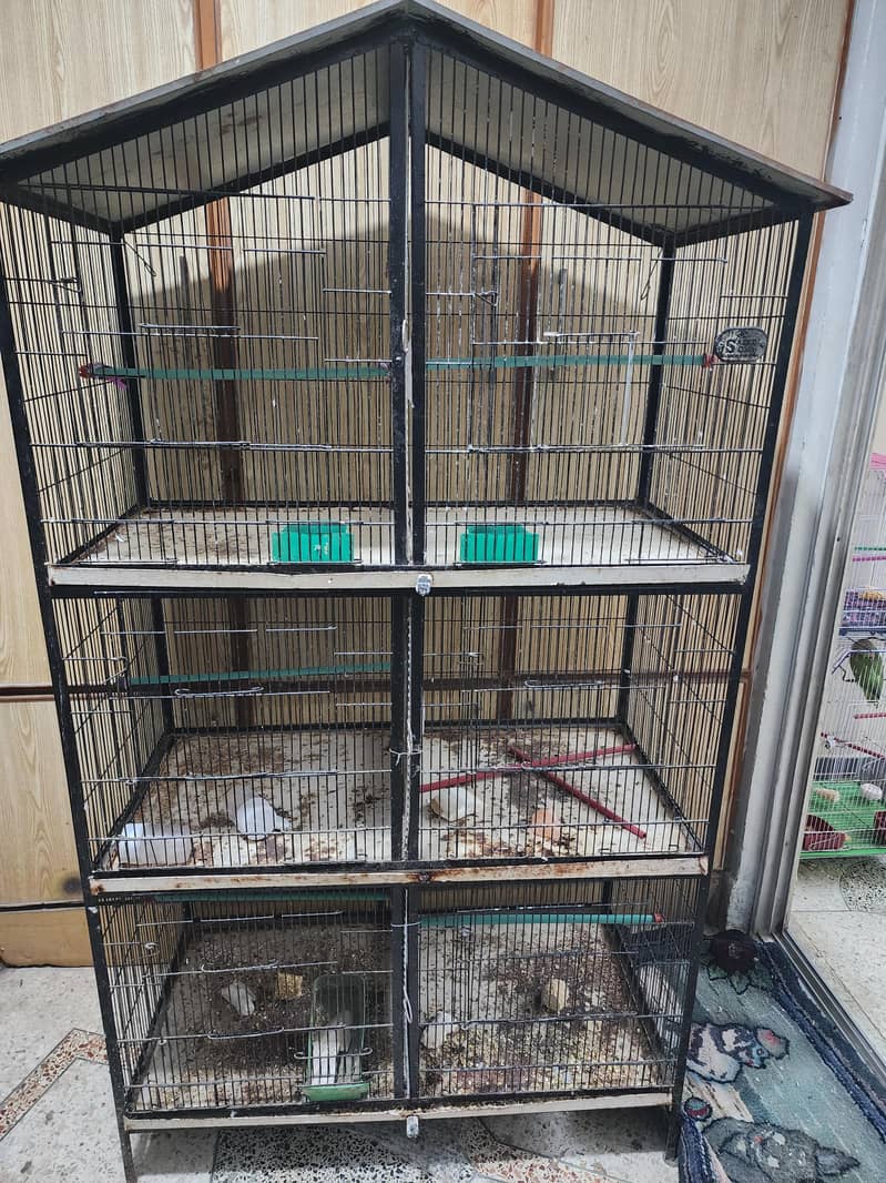 6 portion cage 1