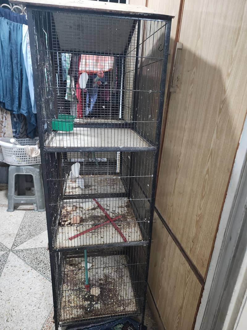 6 portion cage 3