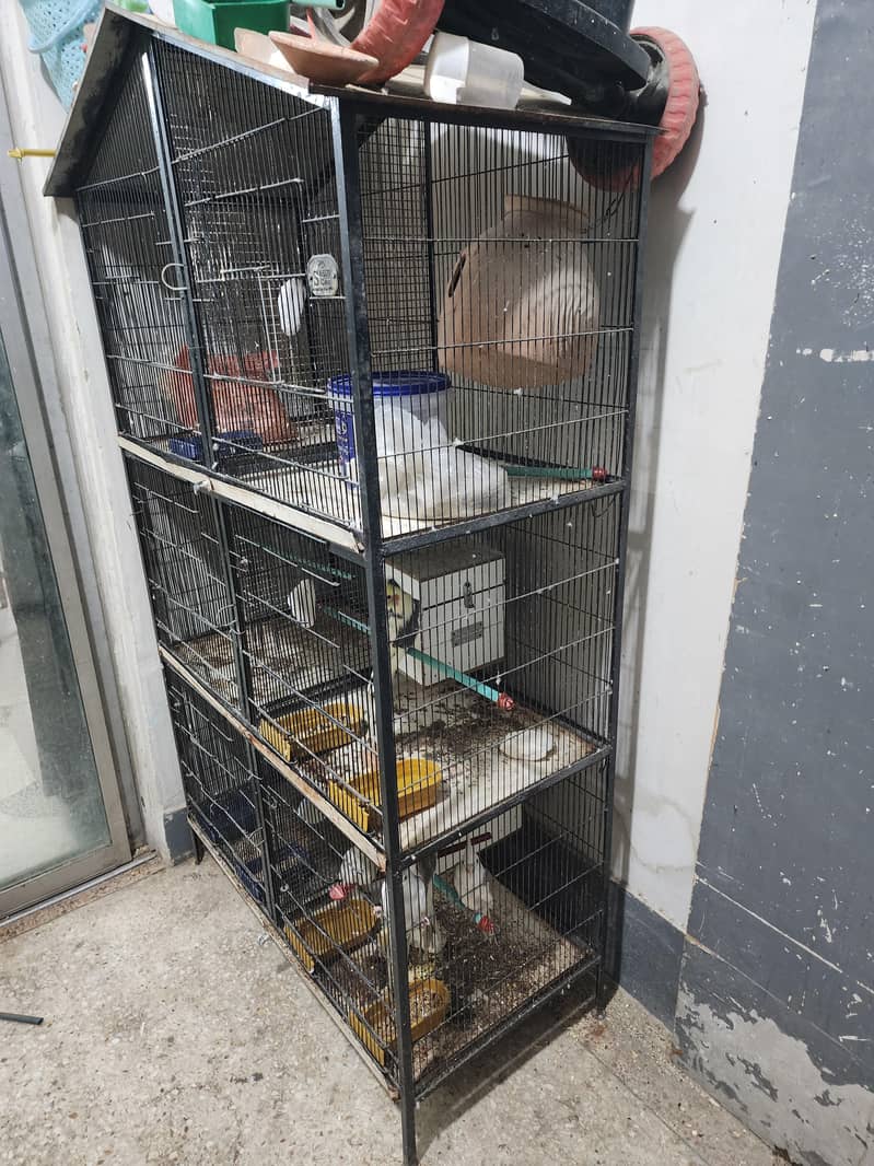 6 portion cage 5