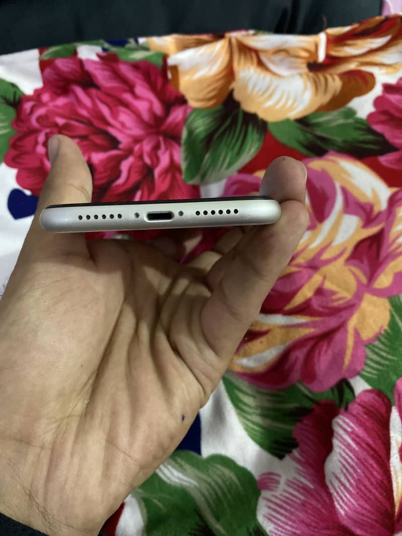 Apple iPhone 11 3