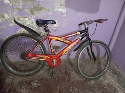 Mountain bicycle