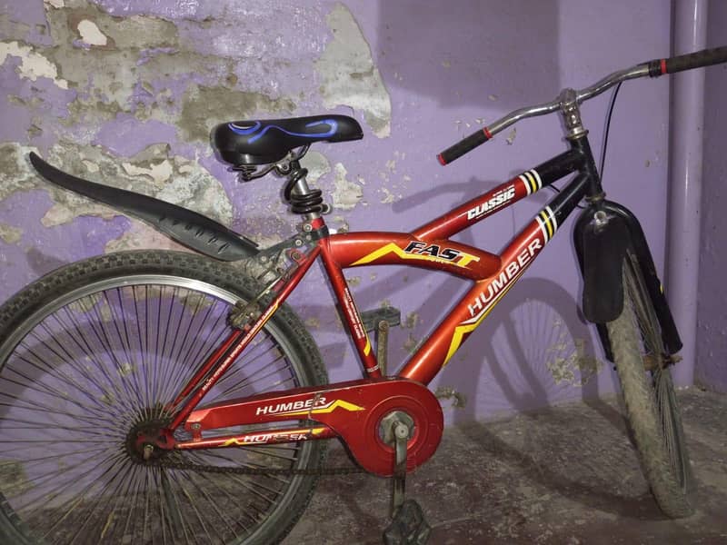 Mountain bicycle 1