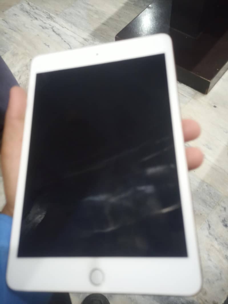 ipad mini 4 0