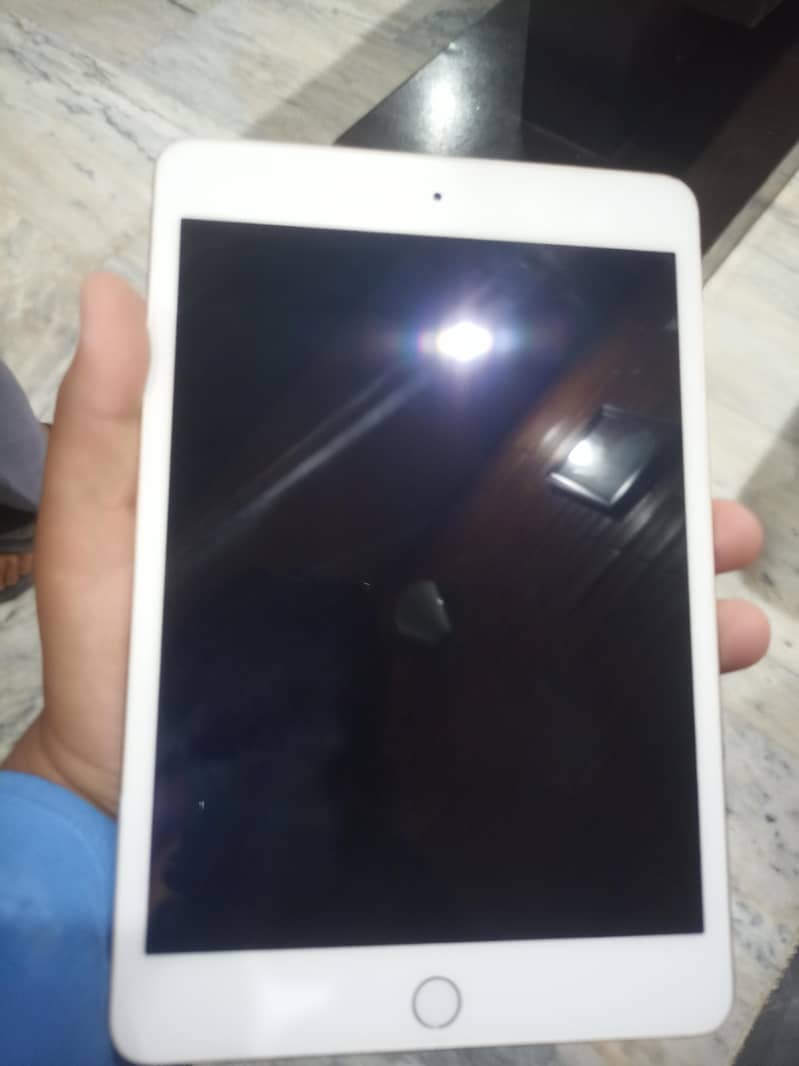 ipad mini 4 1