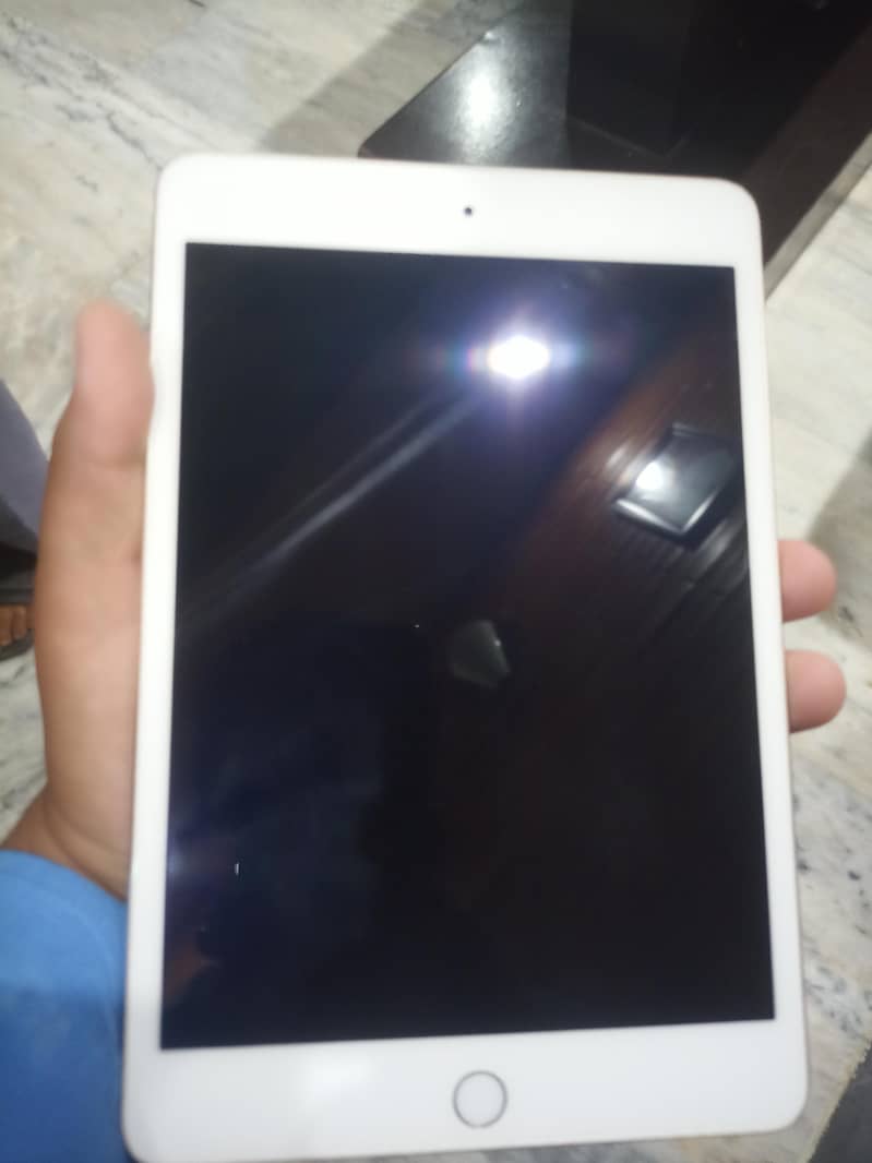 ipad mini 4 2