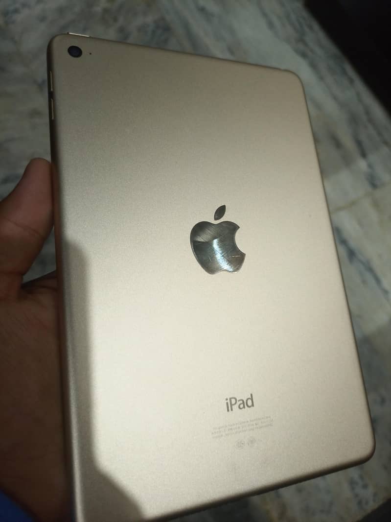 ipad mini 4 3